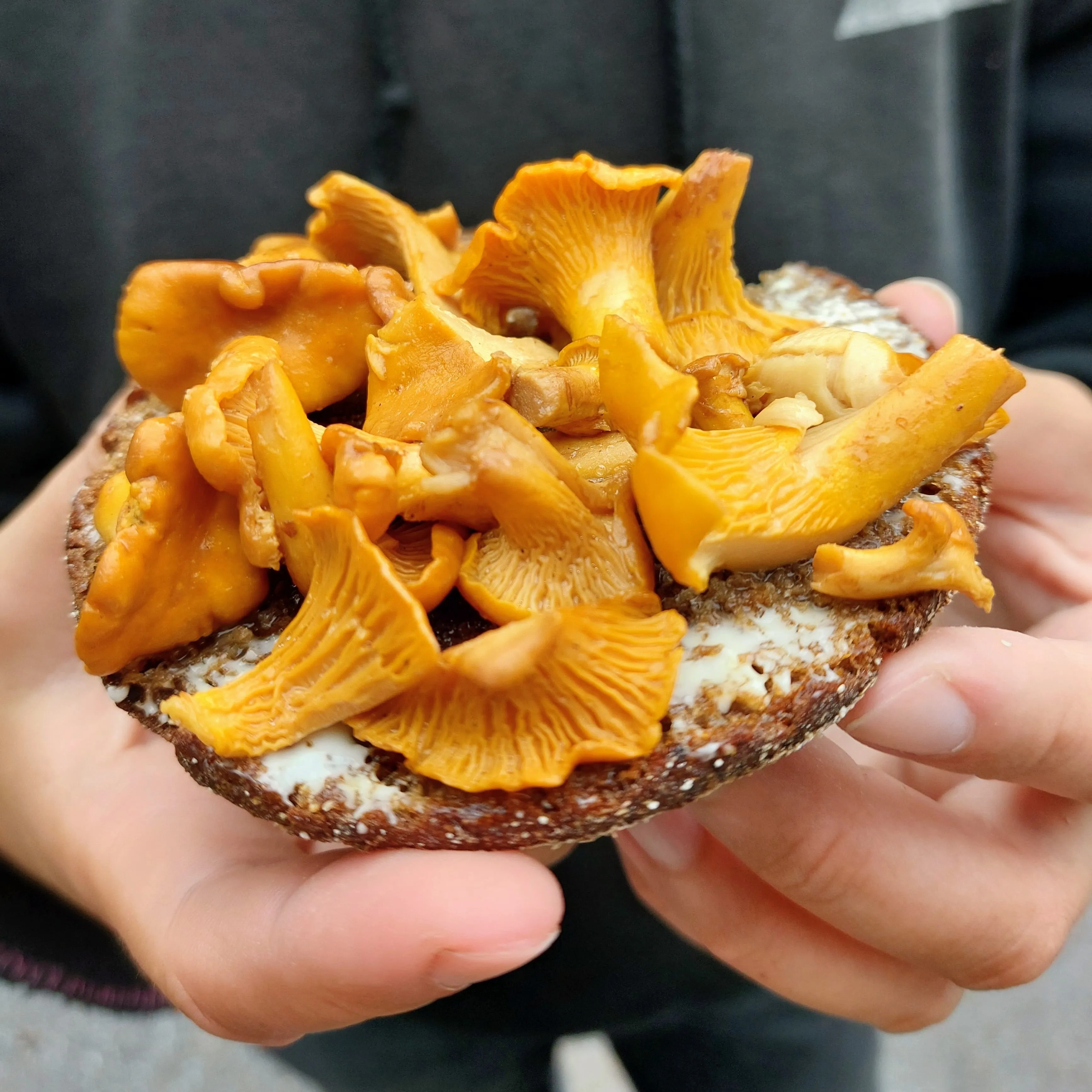 Rye bread with chanterelle