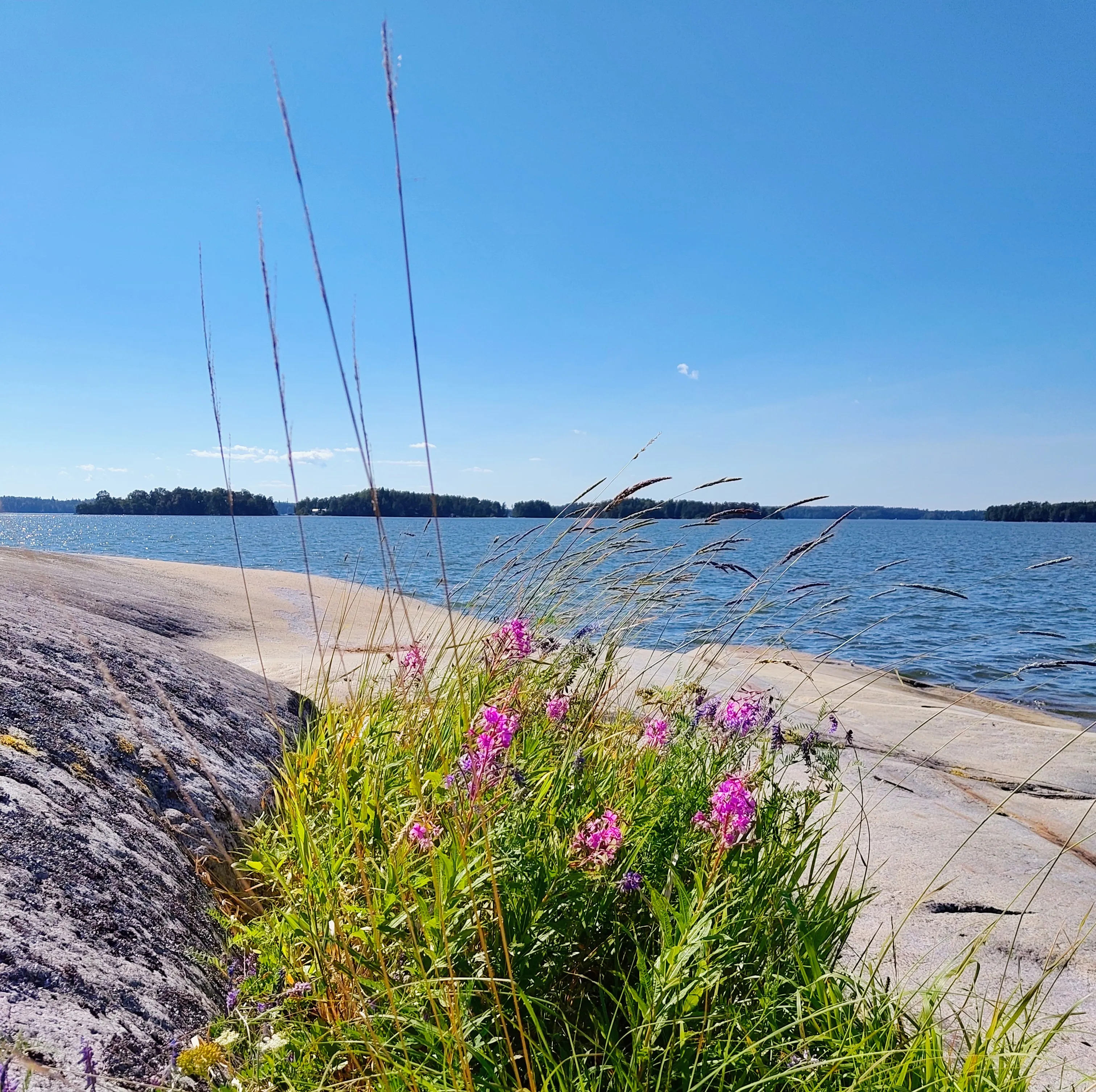 Scenic photo from Pikku Leikosaari island