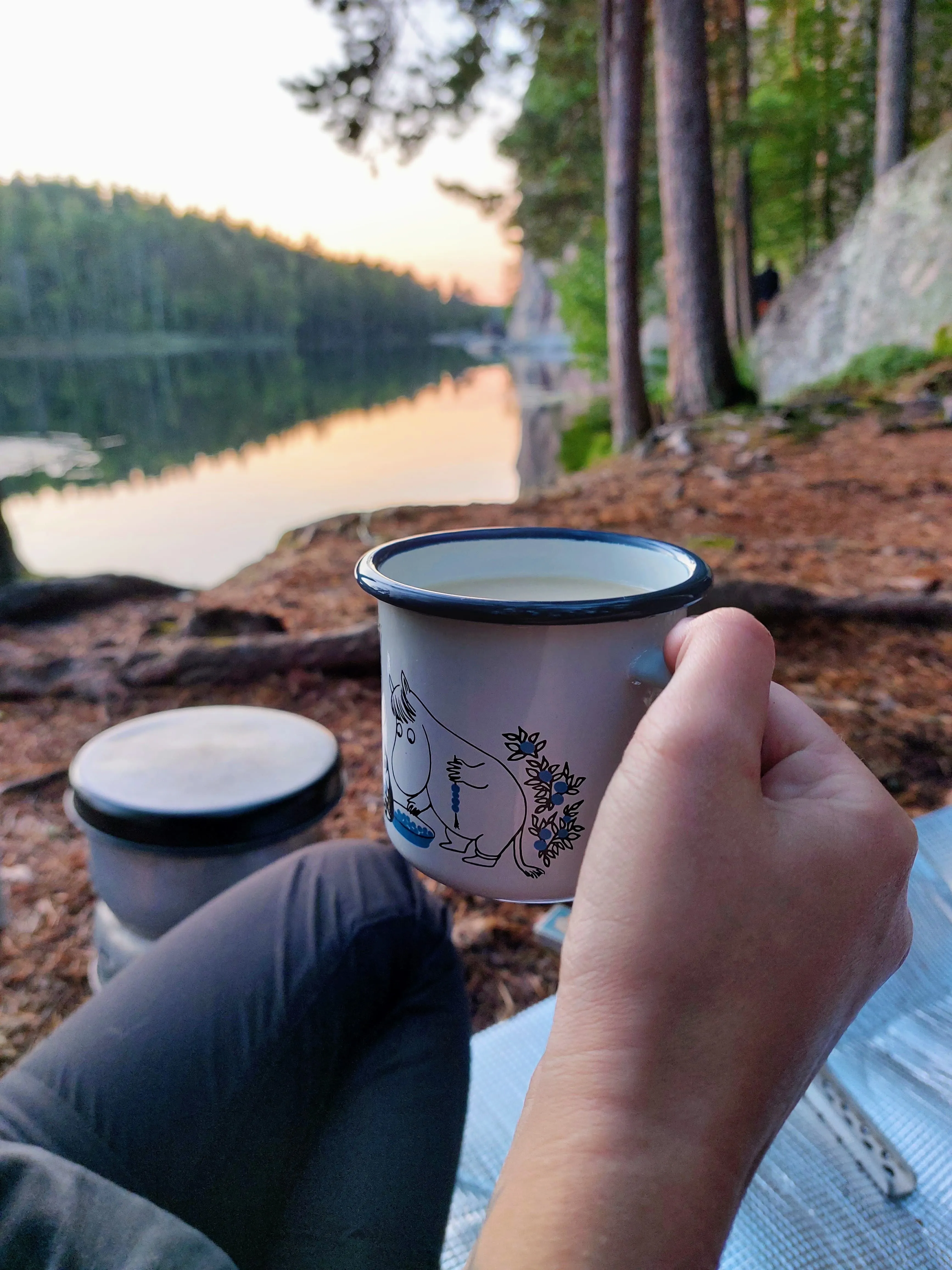 Campervan parked by a Finnish lake